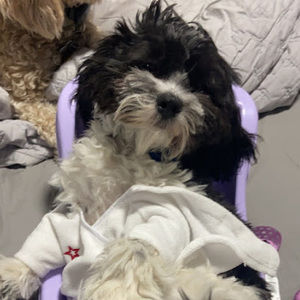 Meet your Posher, Aleah